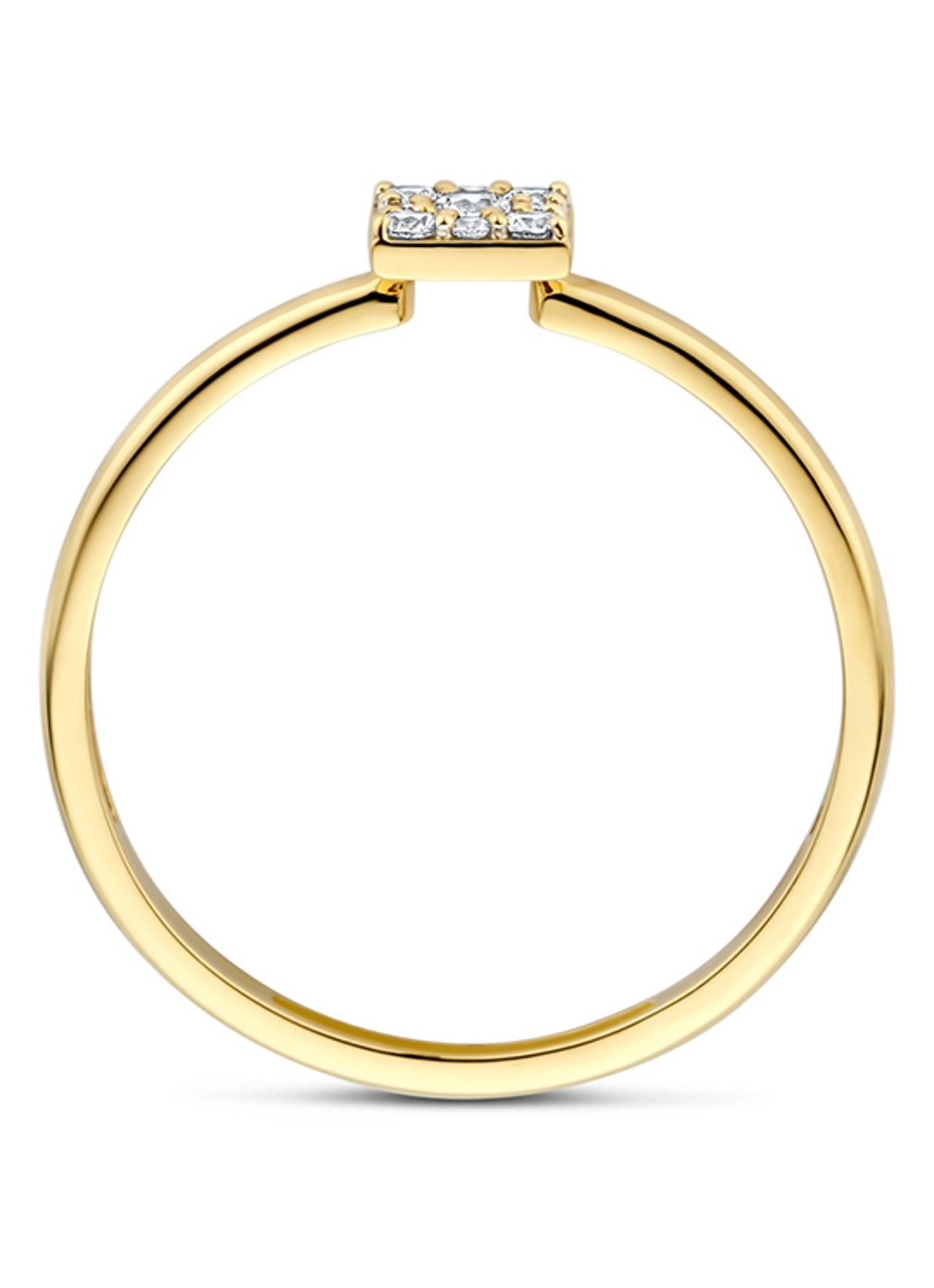 Blush Ring van 14 karaat geelgoud 1278YZI - detail 2 goud