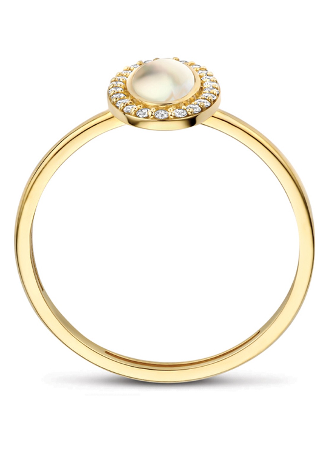 Blush Ring van 14 karaat geelgoud 1279YMQ - detail 2 undefined