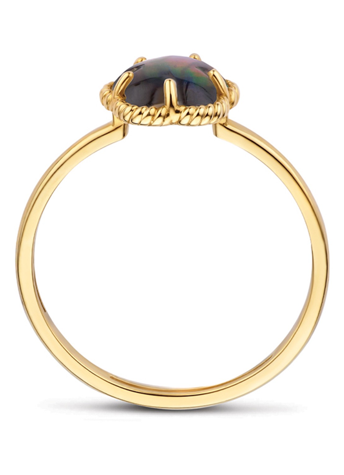 Blush Ring van 14 karaat geelgoud 1280YBQ - detail 4 undefined