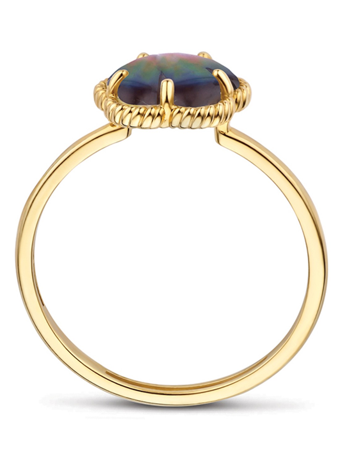 Blush Ring van 14 karaat geelgoud 1281YBQ  - detail 2 geelgoud