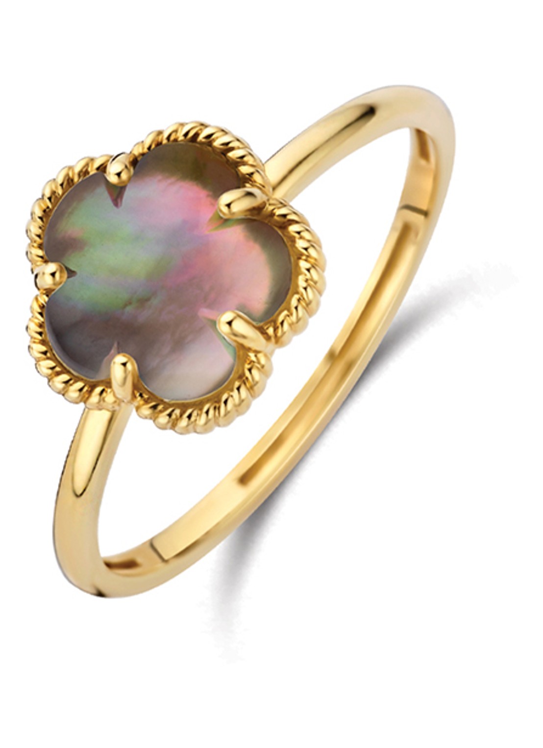 Blush Ring van 14 karaat geelgoud 1281YBQ  - voorkant 4 geelgoud