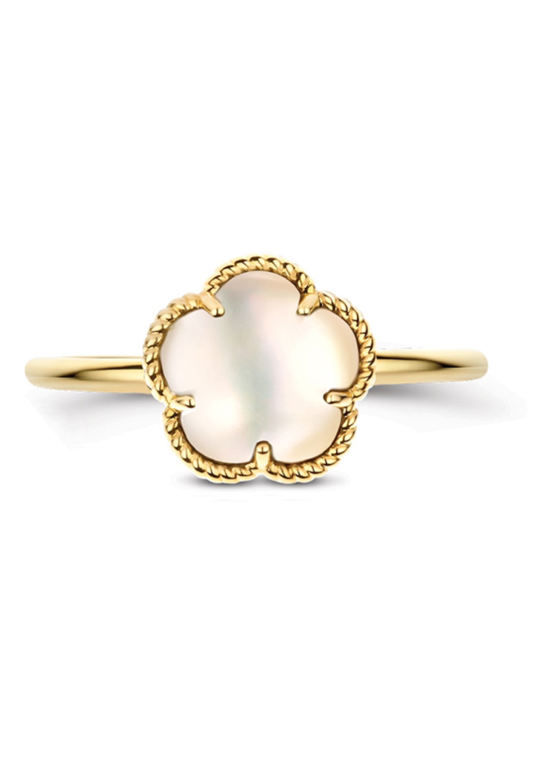 Blush Ring van 14 karaat geelgoud 1281YMQ - detail geelgoud