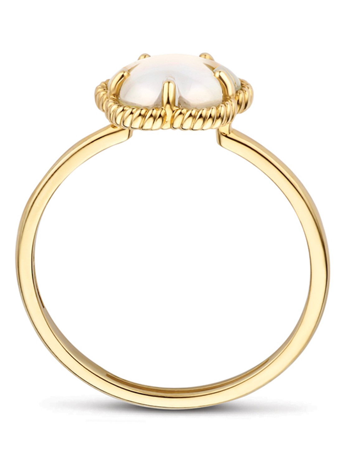 Blush Ring van 14 karaat geelgoud 1281YMQ - detail 2 geelgoud