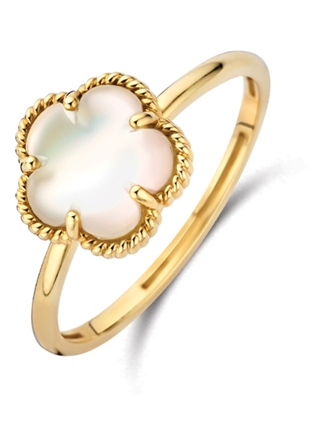 Blush Ring van 14 karaat geelgoud 1281YMQ - voorkant 4 geelgoud