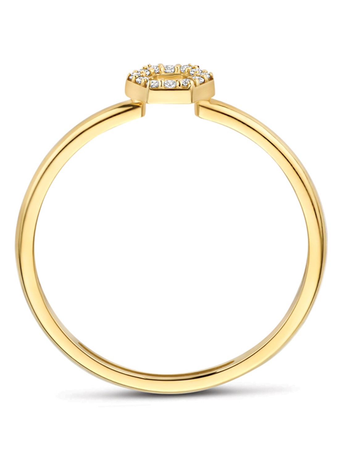 Blush Ring van 14 karaat geelgoud 1287YZI - detail 3 undefined