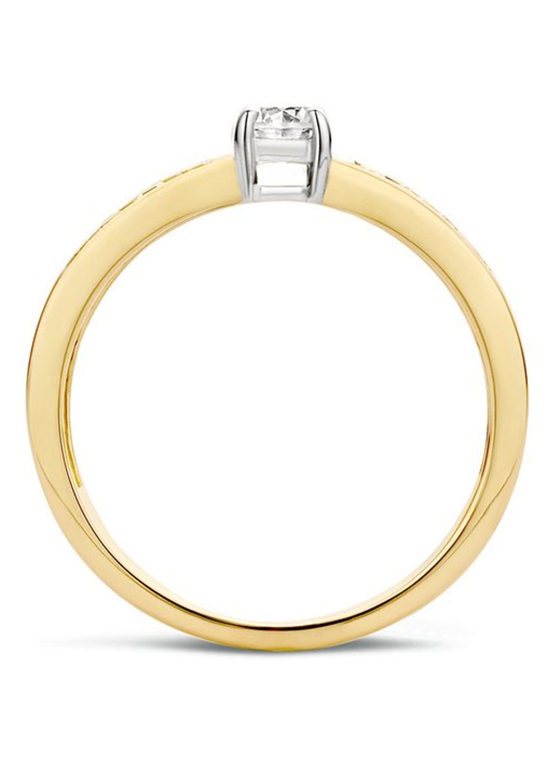 Blush Ring van 14 karaat geelgoud met zirkonia 1125BZI - detail geelgoud