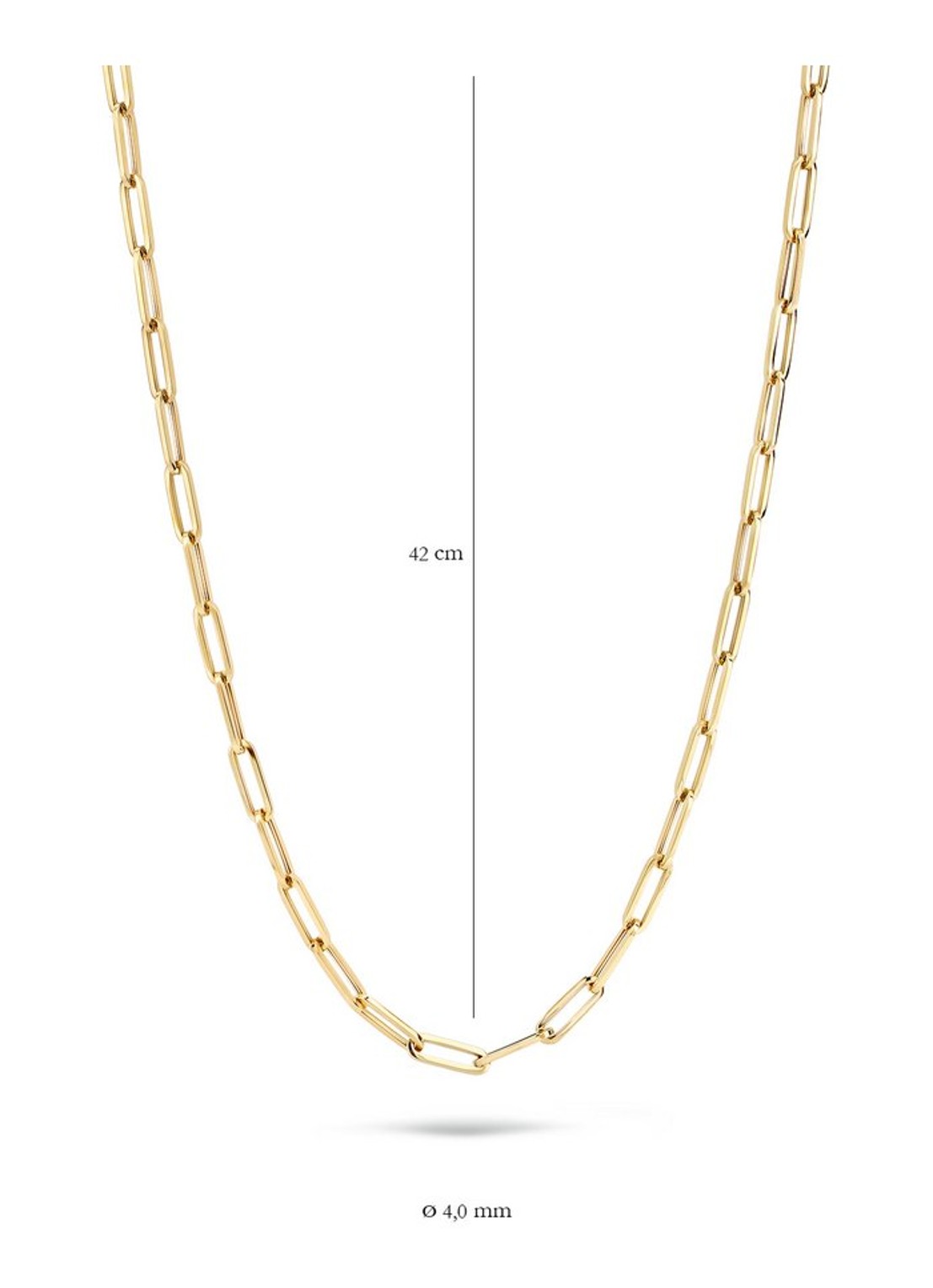 Blush Schakelketting van 14 karaat geelgoud 3101YGO - detail geelgoud