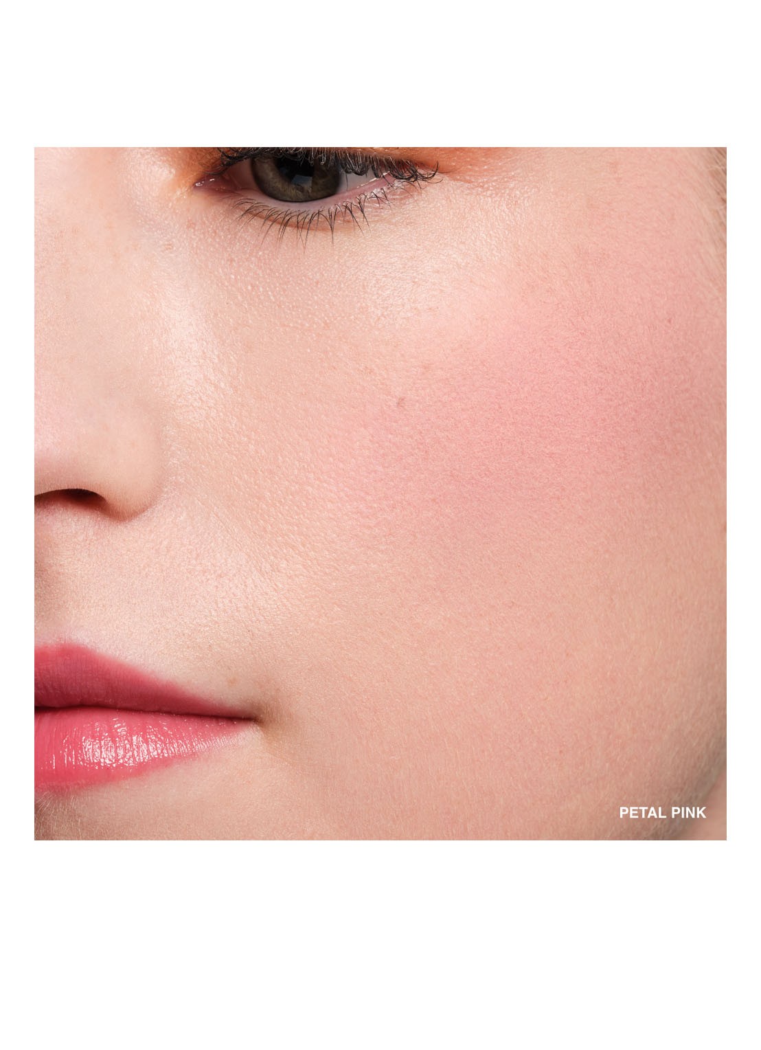 Bobbi Brown Pot Rouge Velvet Matte - 2-in-1 blush - detail 2 petal pink