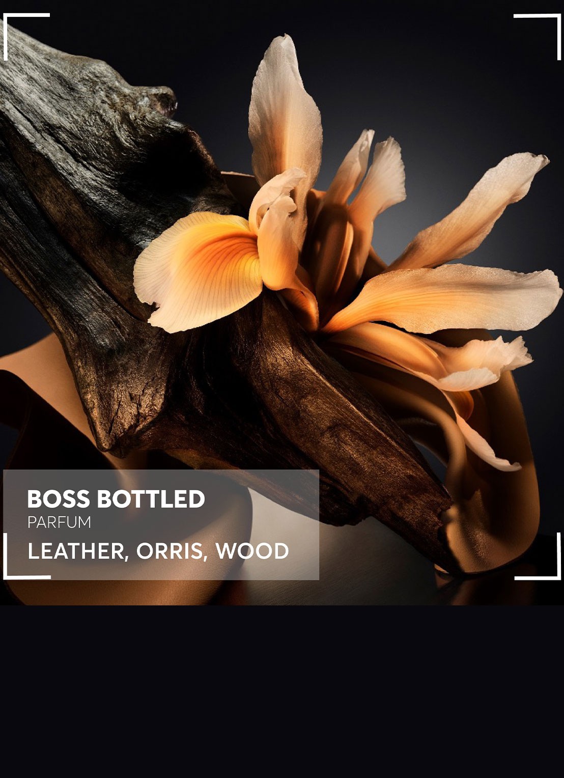 BOSS BOSS Bottled Parfum - detail 3 undefined