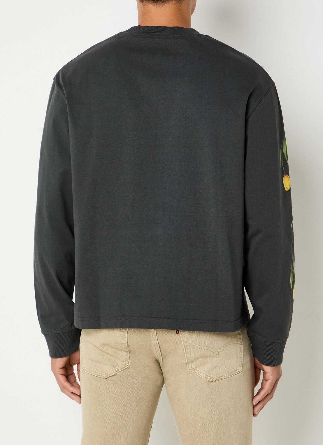 Bram's Fruit Flora 2.0 longsleeve met print - achterkant 2 zwart