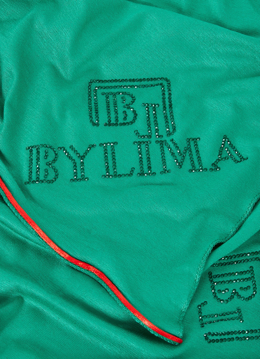 BYLIMA Monostamp sjaal met logo 180 x 75 cm - detail 3 groen