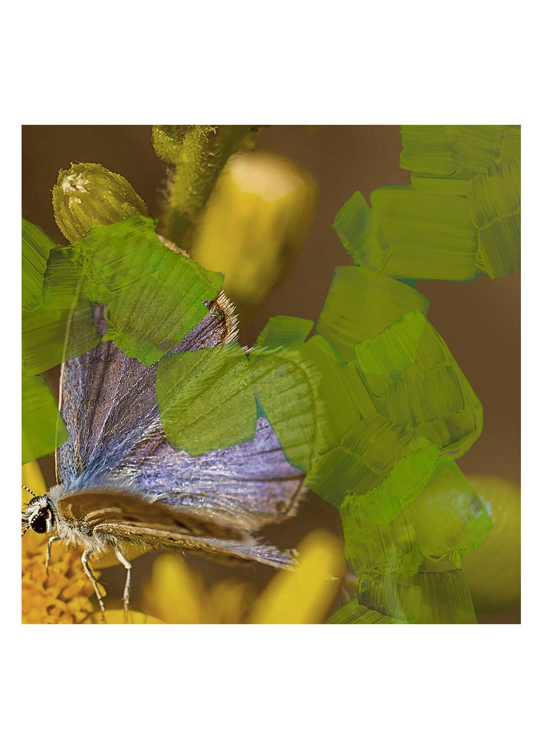 Byredo Animalique Eau de Parfum - detail 4 undefined