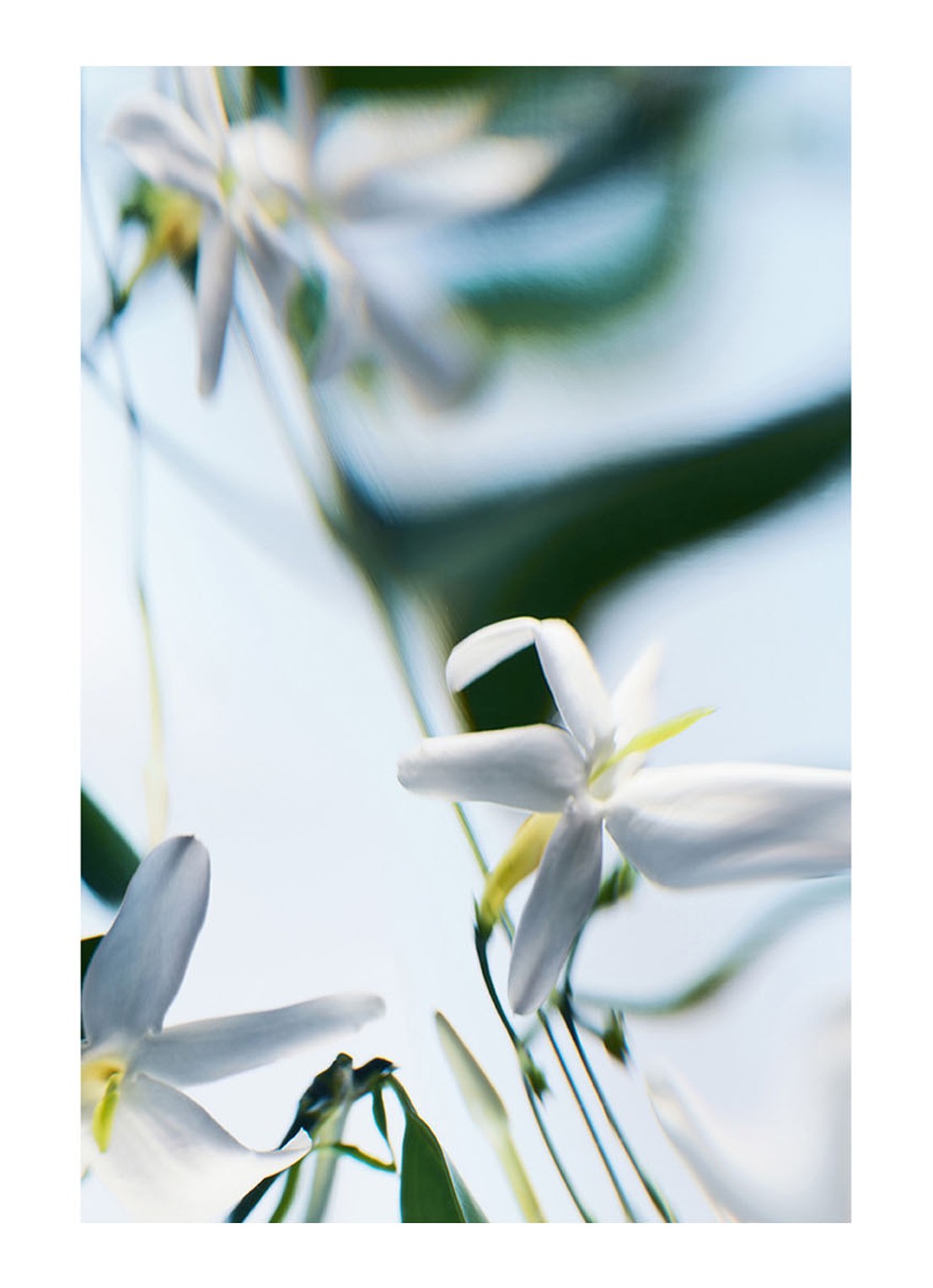 Byredo Blanche Absolu de parfum - detail 5 beige