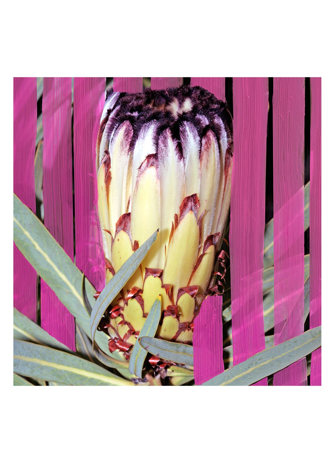 Byredo Inflorenscence Eau de Parfum - detail 2 undefined