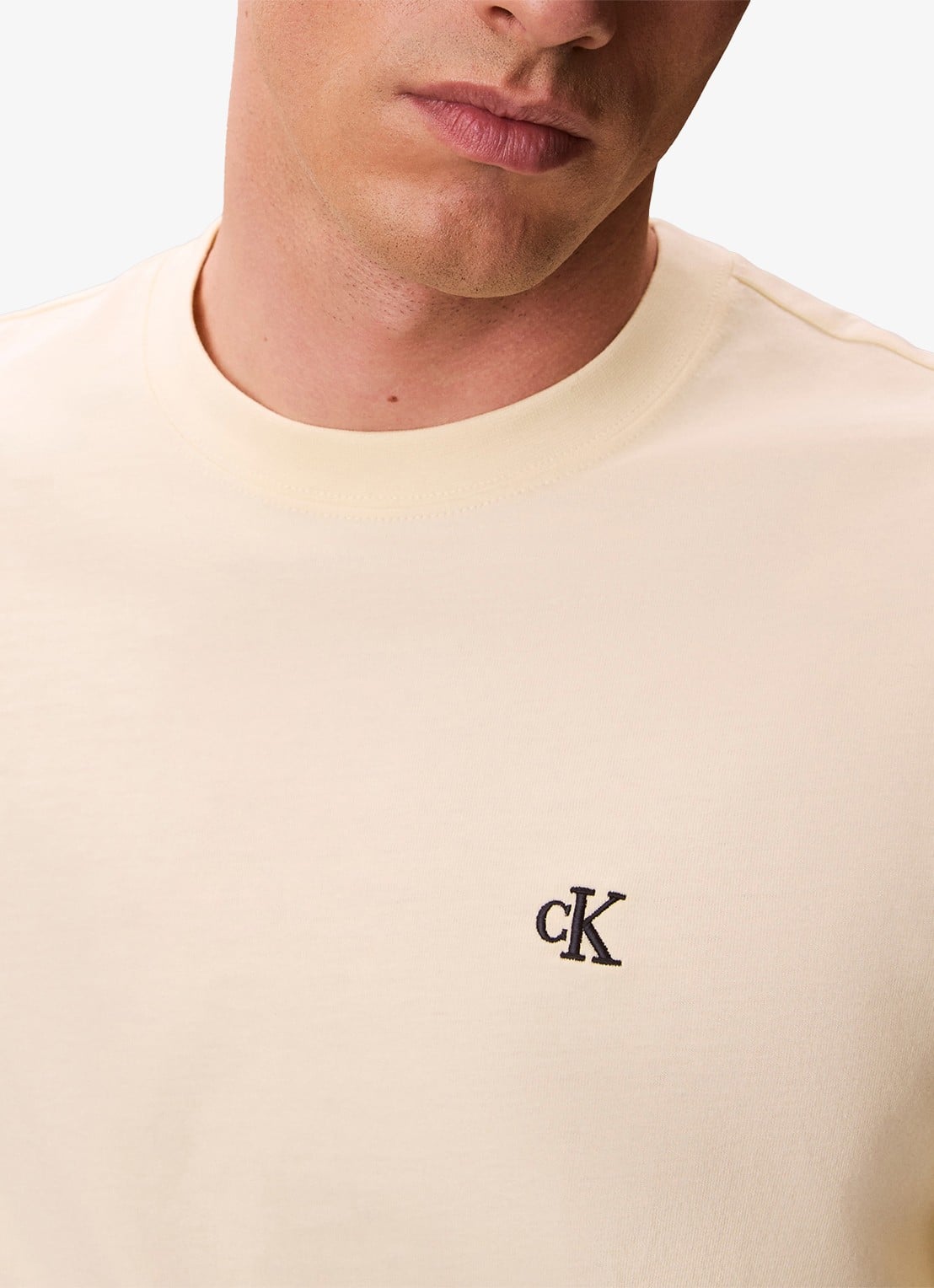 Calvin Klein T-shirt met logoborduring - detail 2 pear sorbet-zrk/ geel