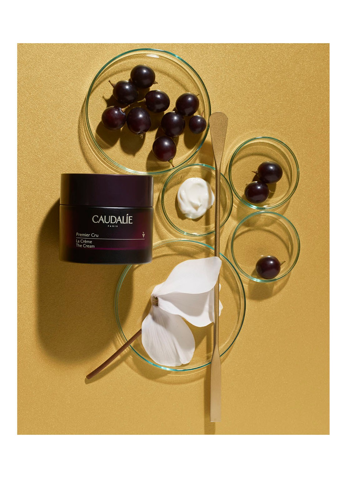 Caudalie Premier Cru De Crème - gezichtscrème - voorkant 5 undefined