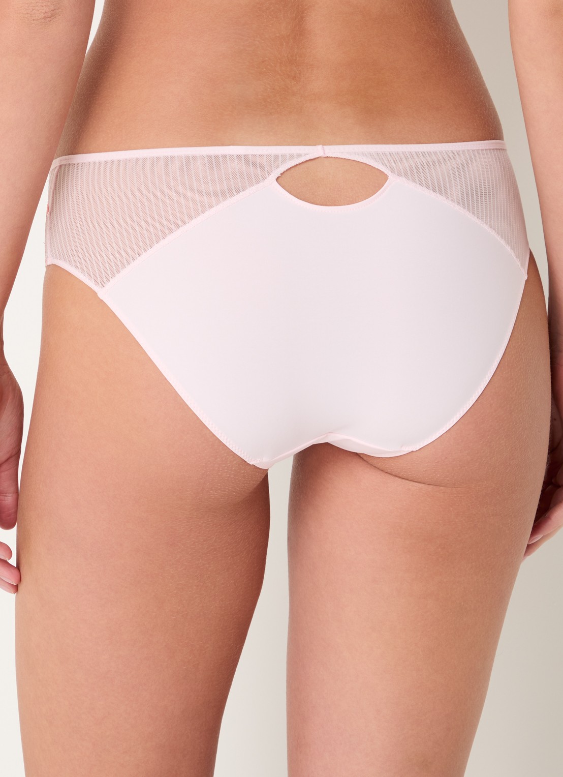 Chantelle Slip met borduring - achterkant lichtroze
