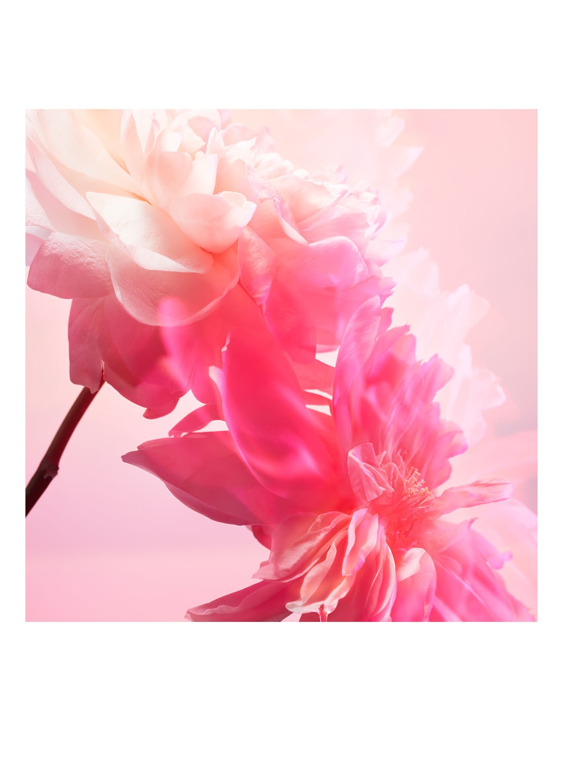 Charlotte Tilbury Love Frequency Eau de Parfum - detail 3 undefined