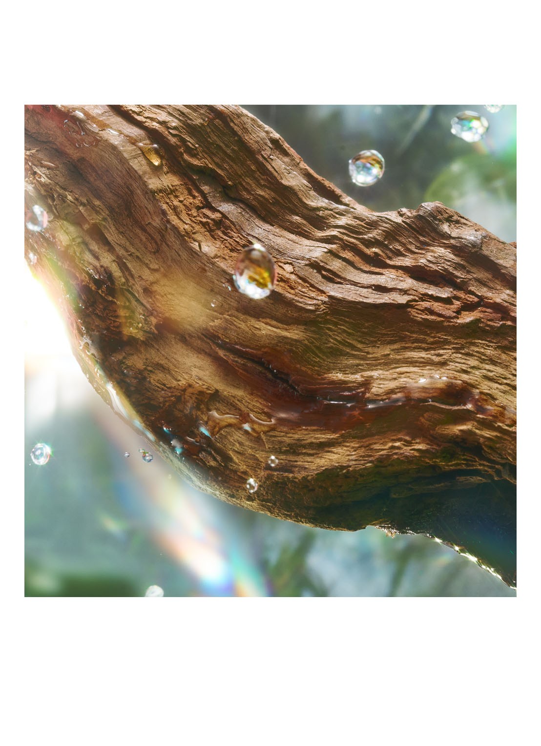 Charlotte Tilbury Magic Energy Eau de Parfum - detail 3 undefined