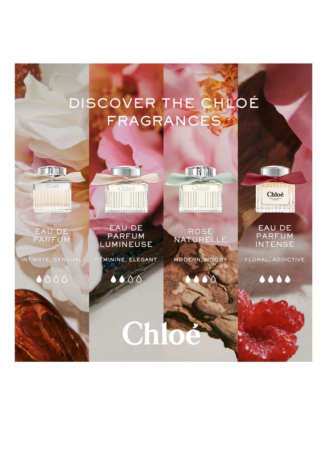 Chloé Chloé Eau de Parfum Intense - detail 7 undefined