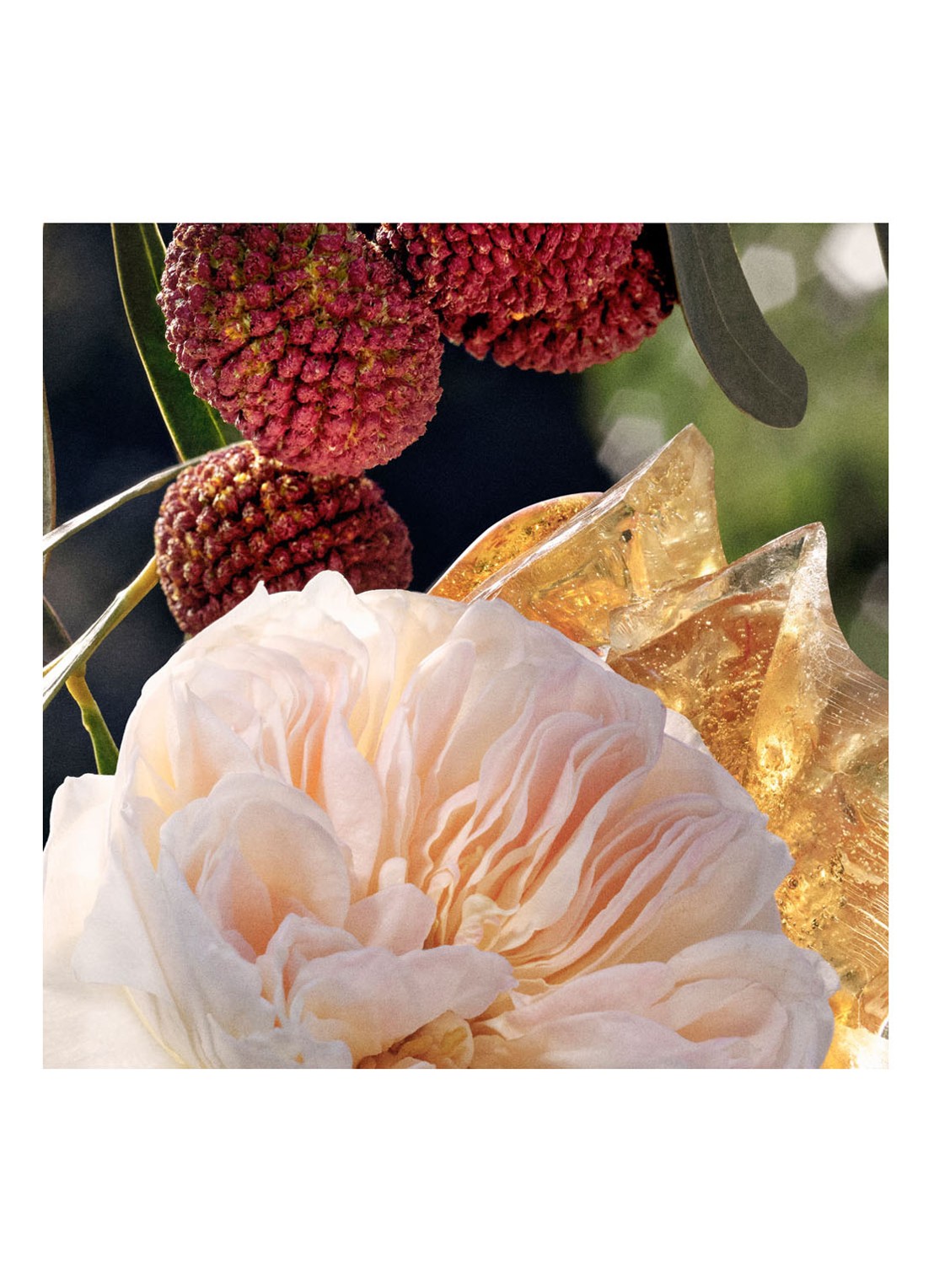 Chloé Chloé Eau de Parfum  - detail 4 undefined