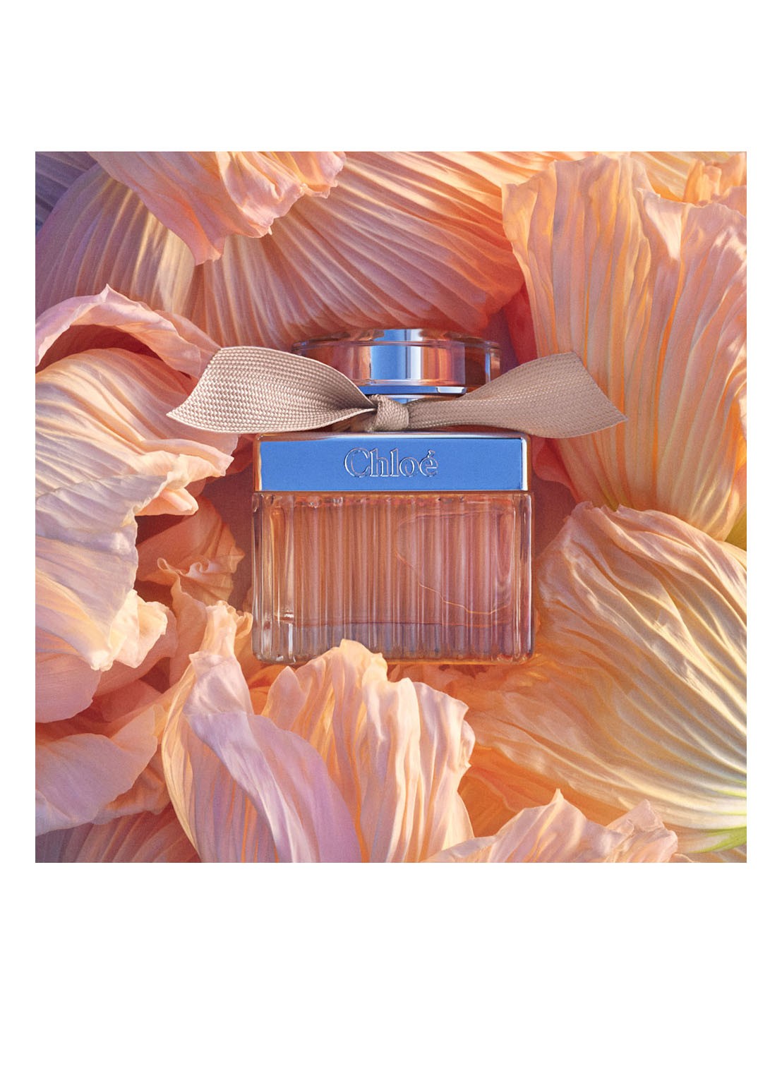 Chloé Chloé Eau de Parfum  - detail 8 undefined