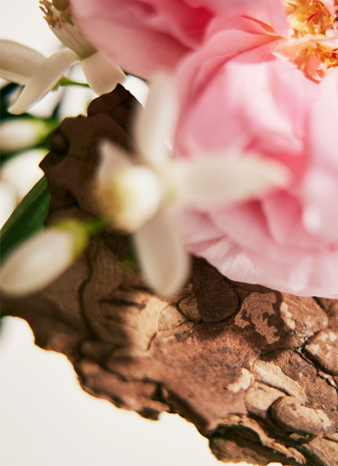 Chloé Chloé Rose Naturelle Eau de Parfum - voorkant 3 undefined