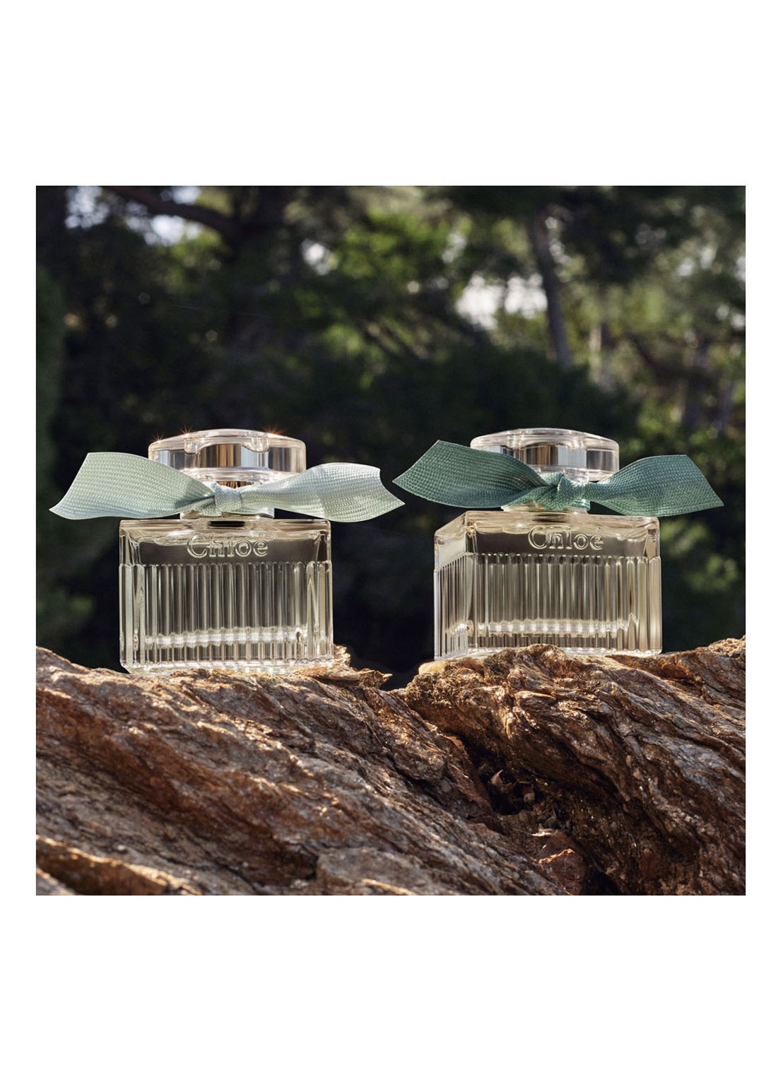 Chloé Chloé Rose Naturelle Intense Eau de Parfum  - detail 4 undefined