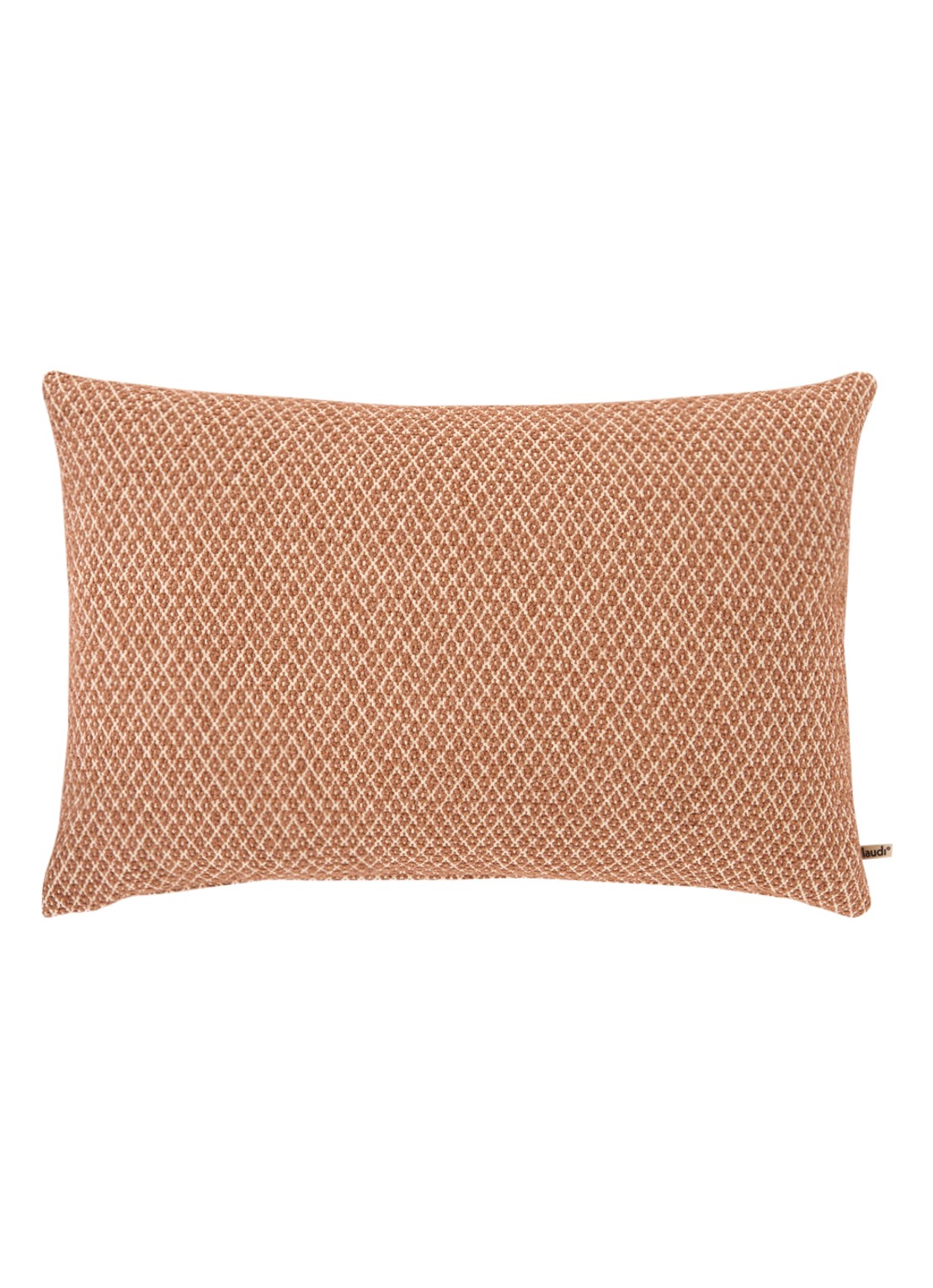 Claudi Quinten sierkussen 40 x 60 cm - voorkant 3 goud