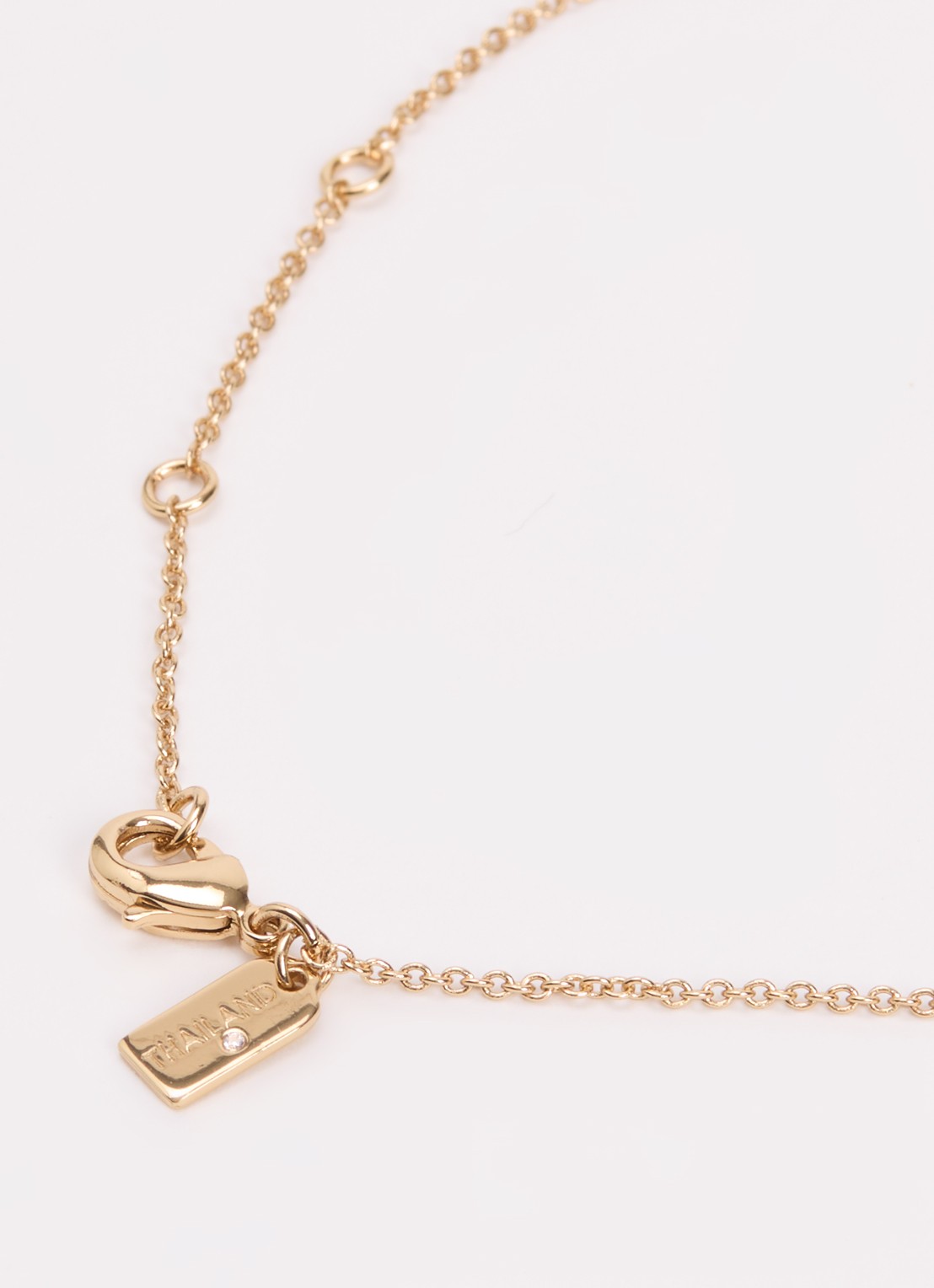 Coach Ketting met hanger - detail 4 goud
