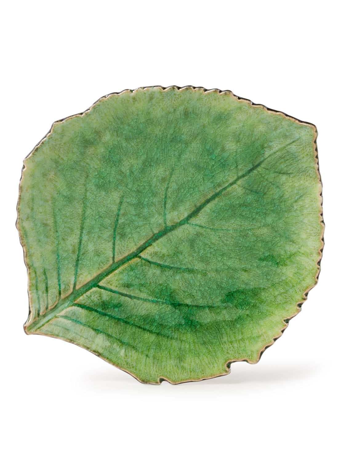 Costa Nova Rivièra Hydranchea bord 21 cm - voorkant groen