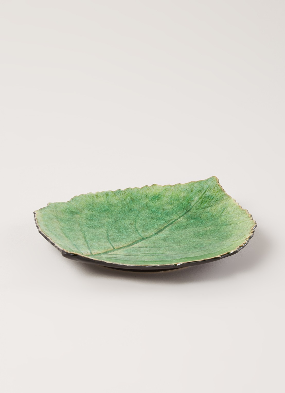 Costa Nova Rivièra Hydranchea bord 21 cm - voorkant 2 groen