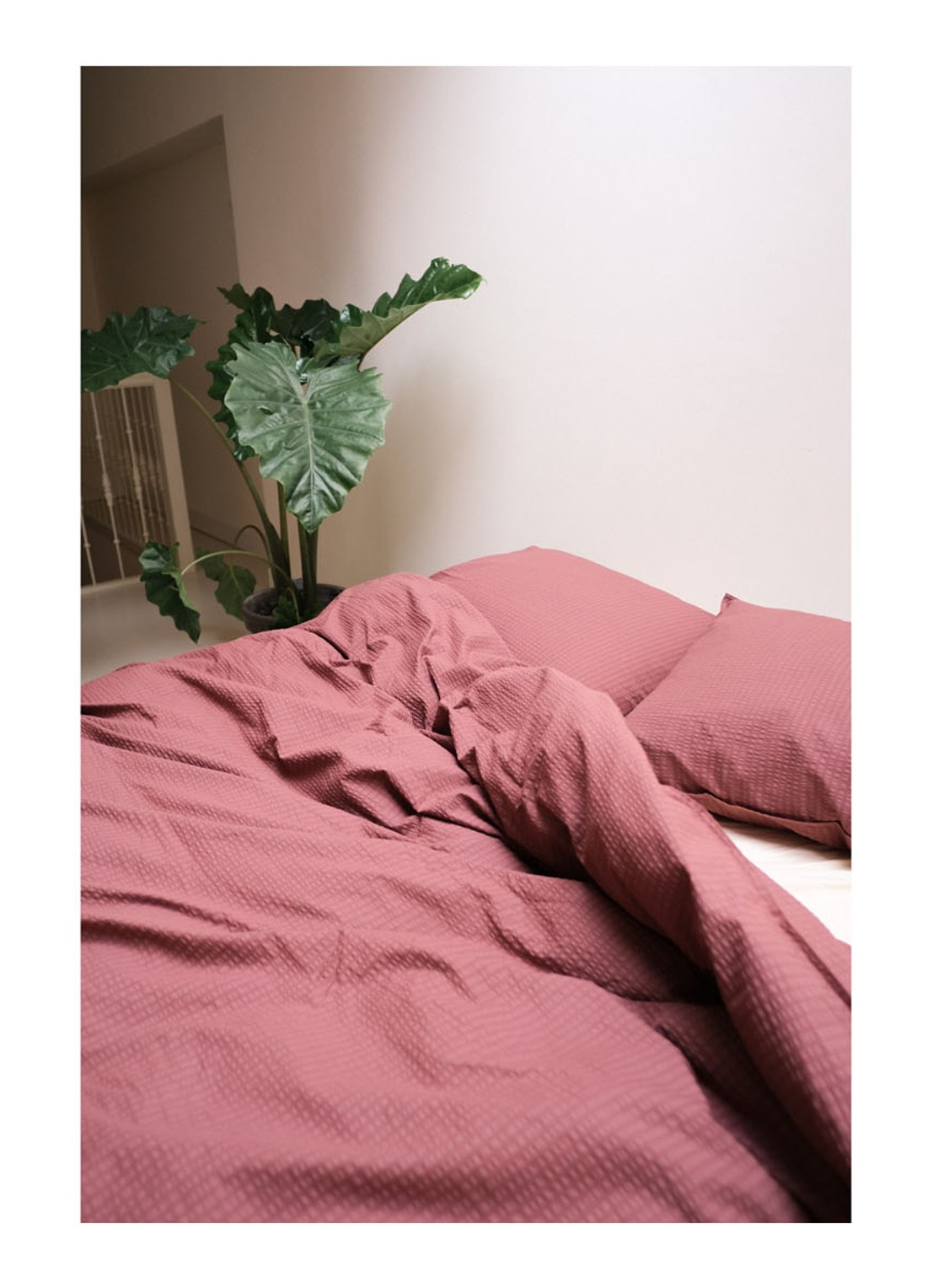Crisp Sheets CRISP dekbedovertrekset van katoen - inclusief kussenslopen - detail 7 bordeauxrood
