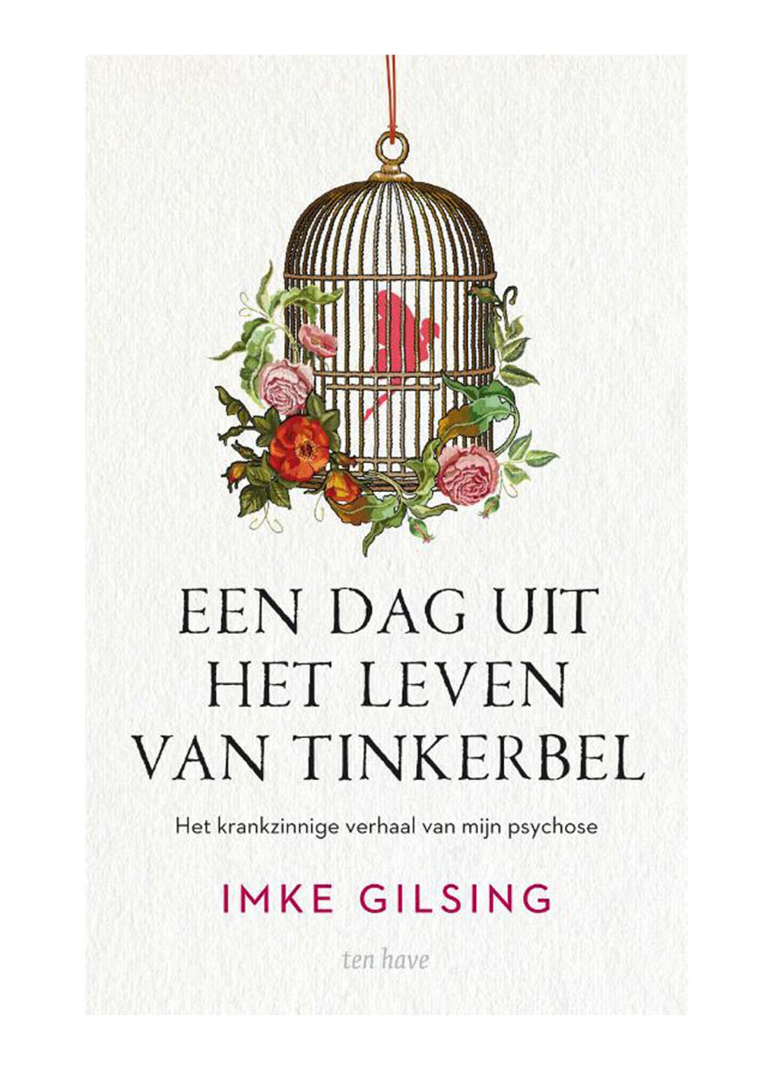 DAG UIT HET LEVEN VAN TINKEBEL - voorkant undefined