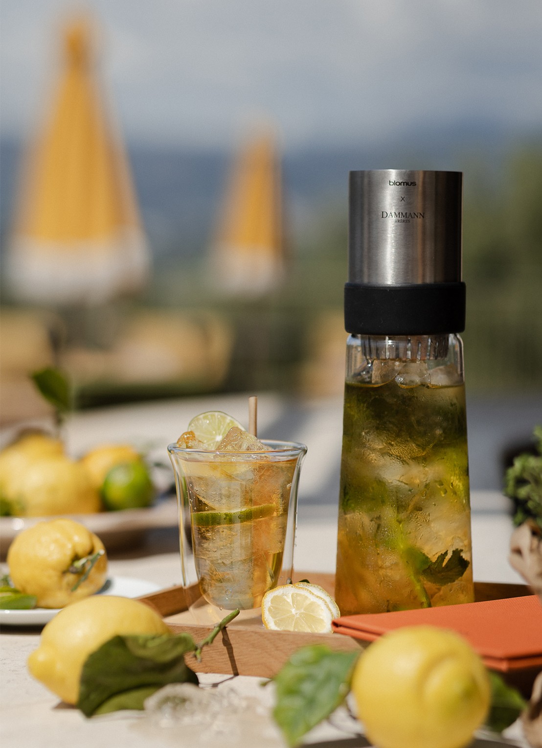 DAMMANN Frères Ice Tea Citrons theezakjes 6 x 30 gram - detail 4 undefined