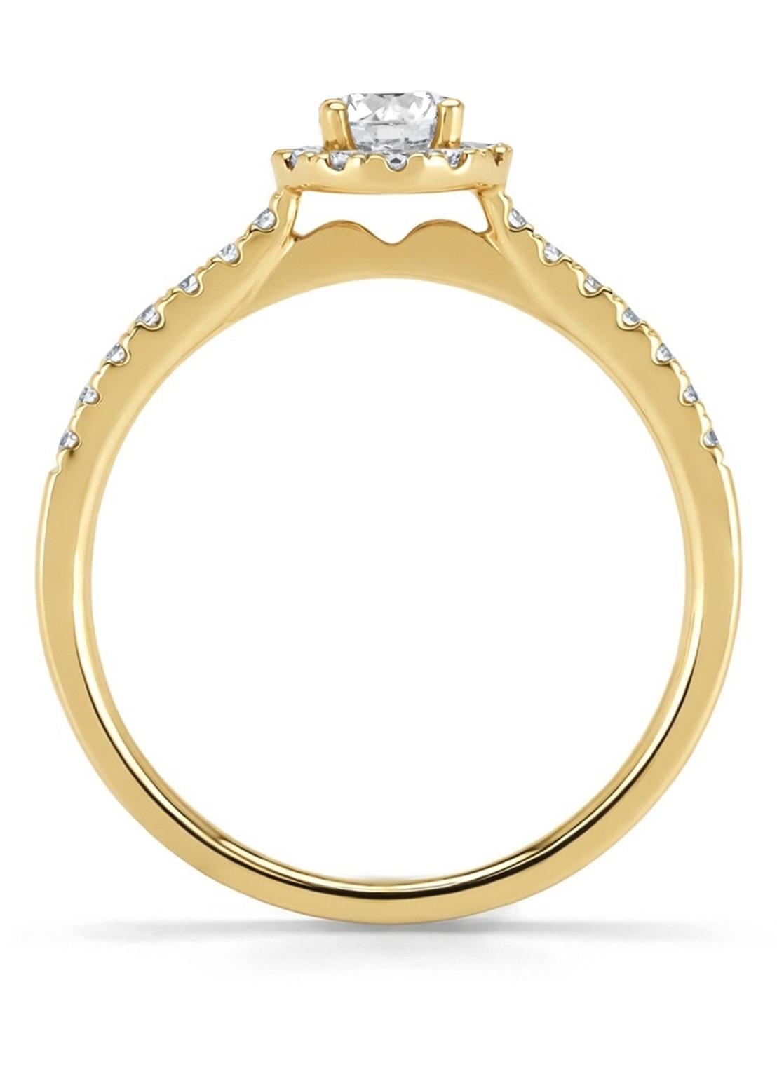 Diamond Point Geelgouden ring, 0.50 ct diamant, Perfect Match - achterkant 3 geelgoud