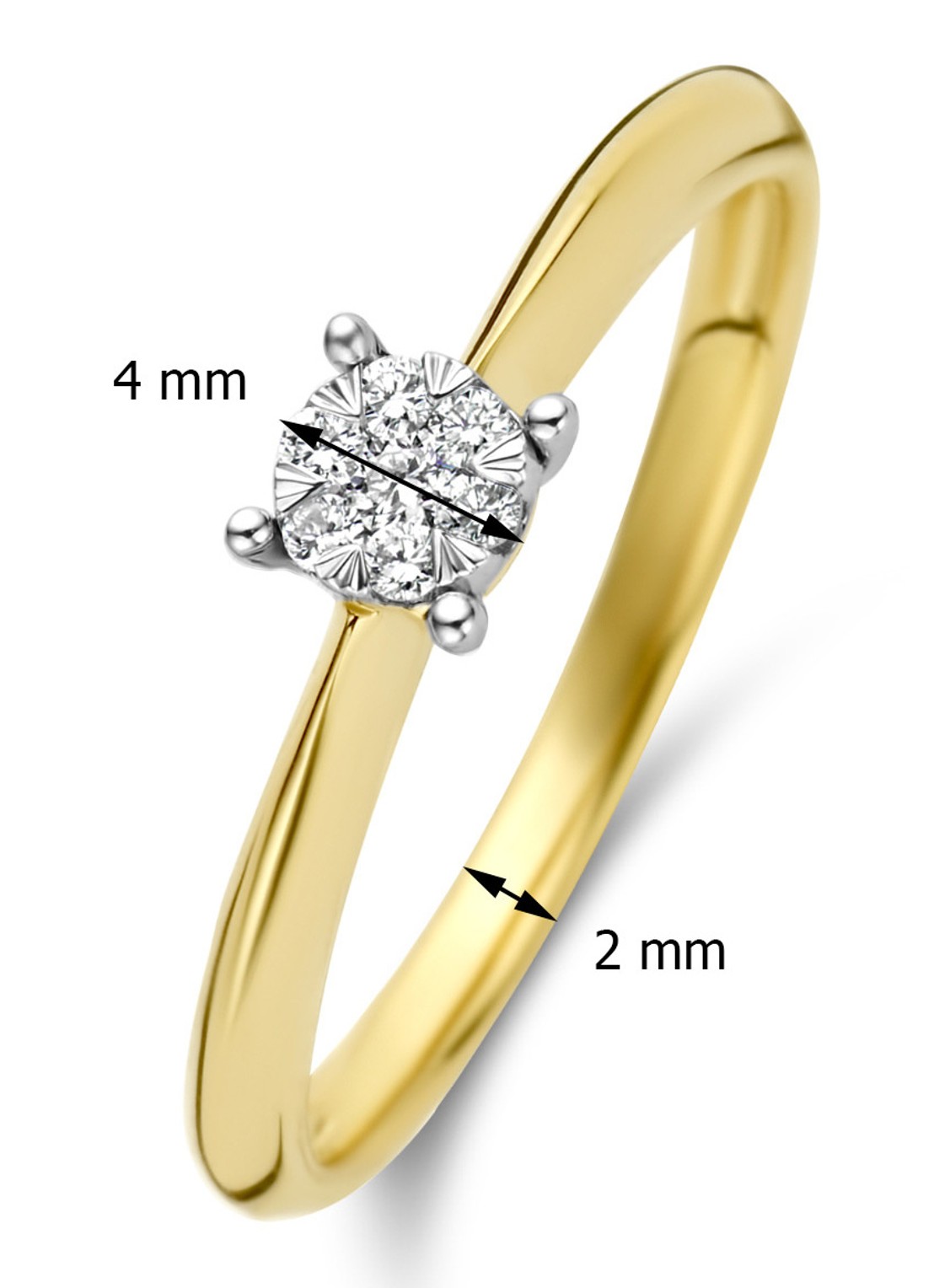 Diamond Point Gouden ring 0.10 ct diamant Enchanted - detail goud