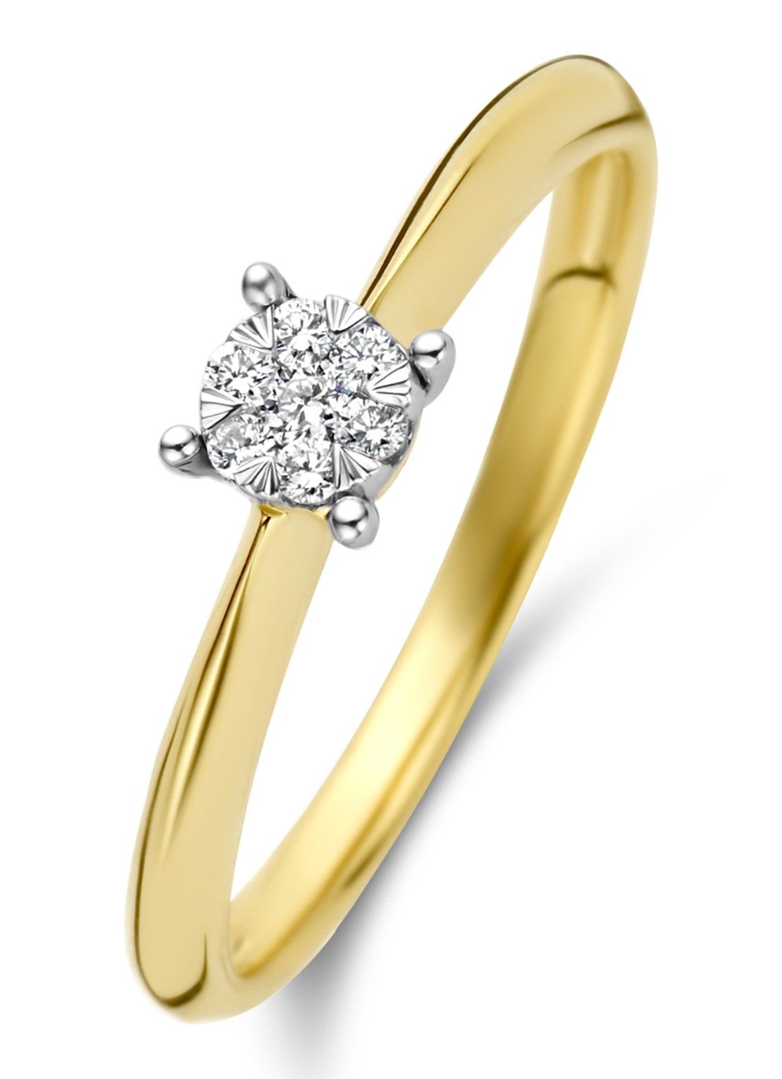 Diamond Point Gouden ring 0.10 ct diamant Enchanted - voorkant 2 goud