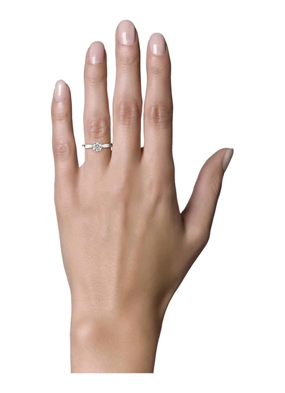 Diamond Point Solitair groeibriljant ring van 18 karaat witgoud, 0.22 ct. 0.22 ct diamant  - detail witgoud
