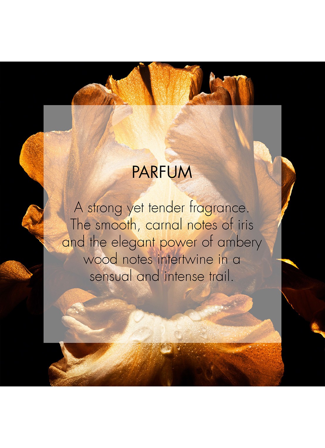 DIOR Homme Parfum - detail 8 undefined