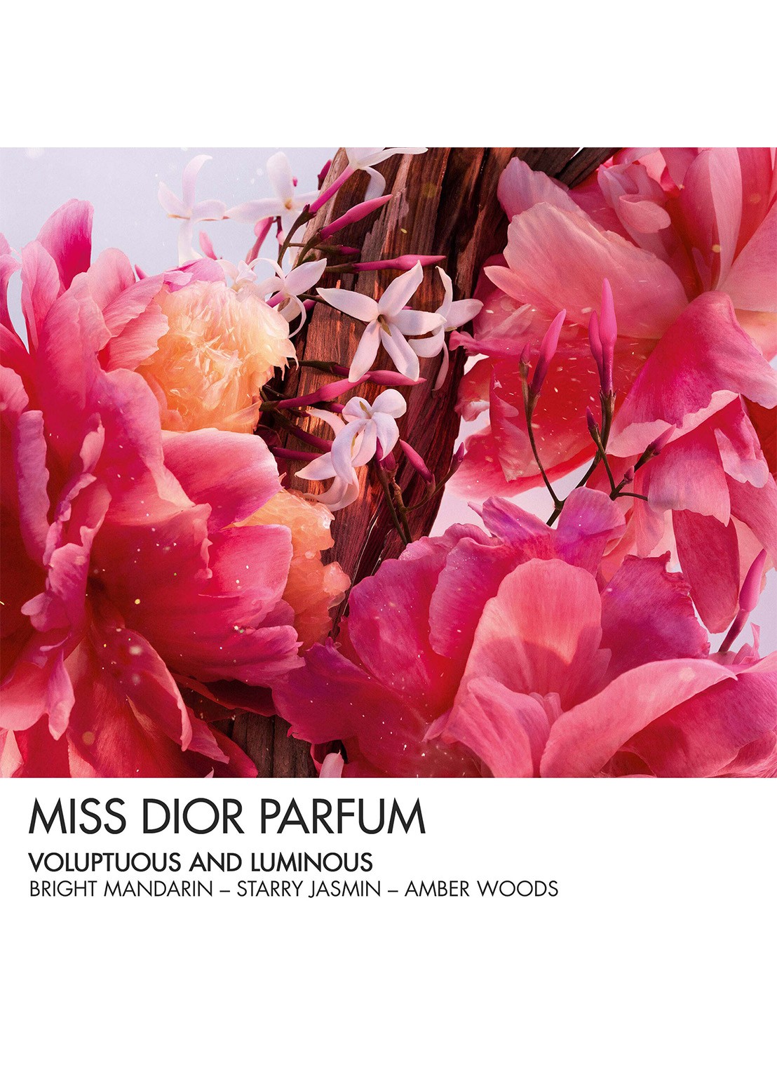 DIOR Miss Dior Parfum Roller-Pearl - detail 2 undefined