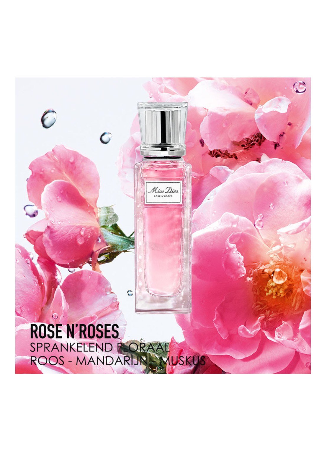 DIOR Miss Dior Rose N'Roses Eau de Toilette Roller-Pearl - detail 2 undefined