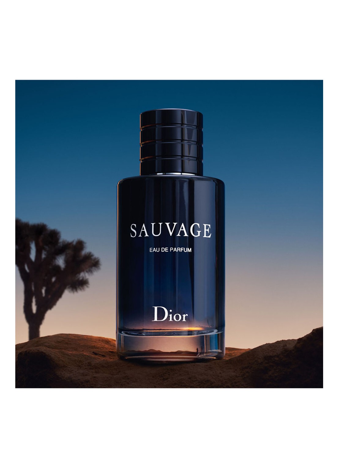 DIOR Sauvage Eau de Parfum - detail 2 undefined