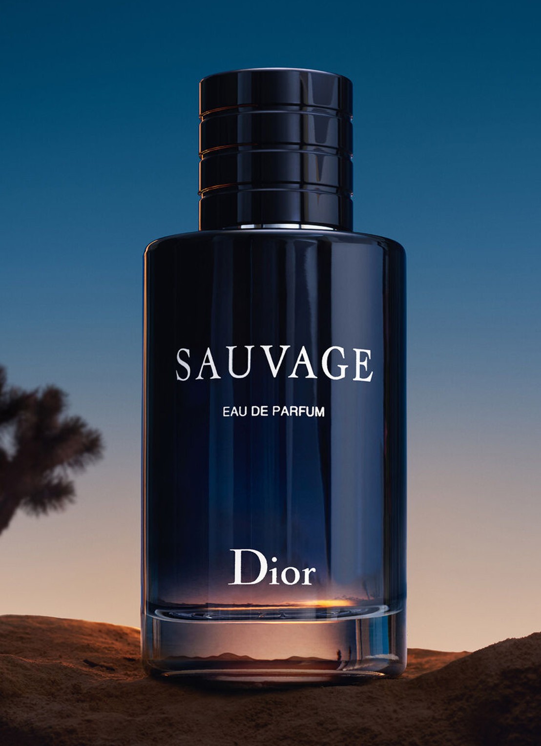 DIOR Sauvage Eau de Parfum - detail 3 undefined