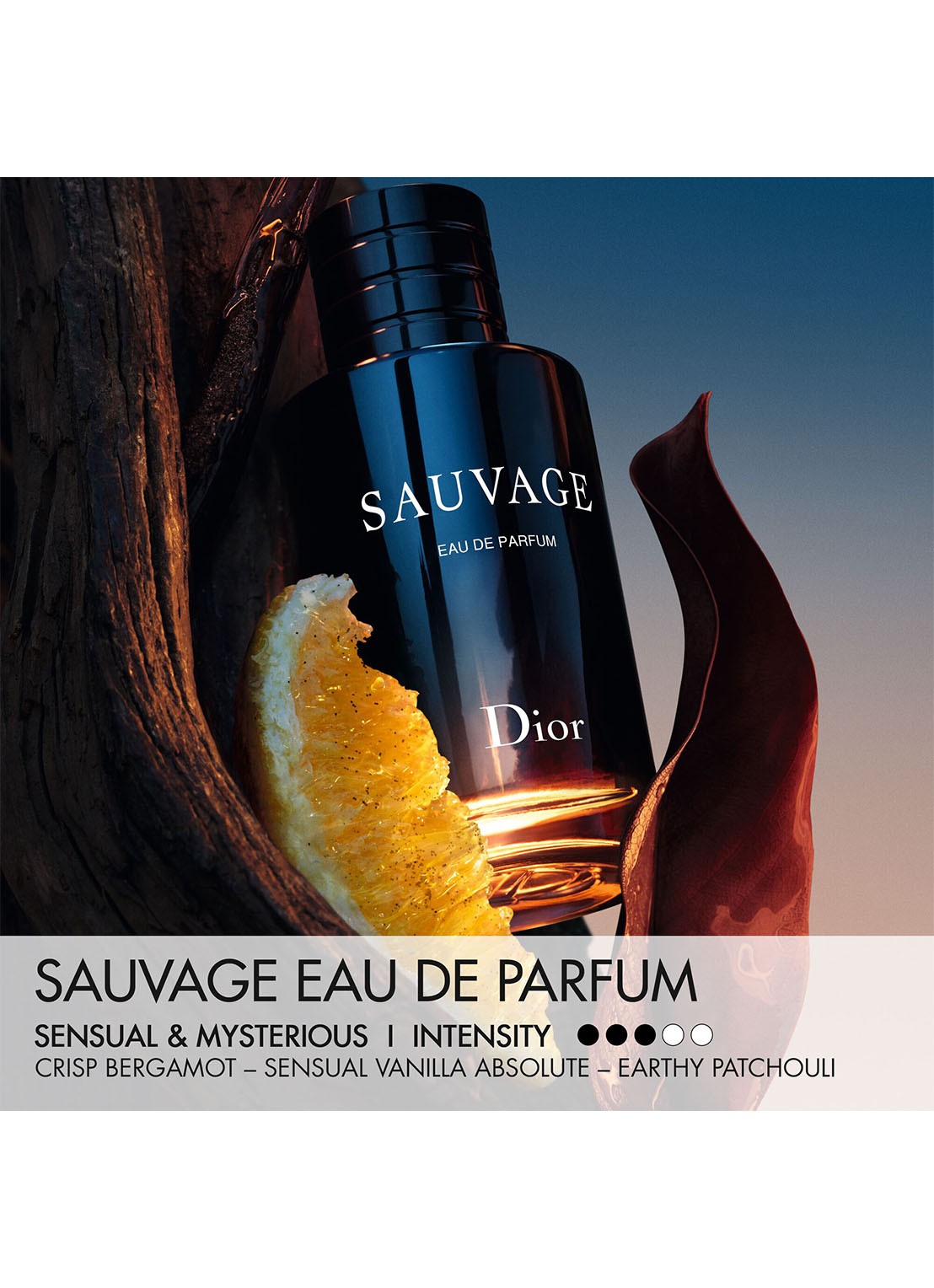 DIOR Sauvage Eau de Parfum - detail 5 undefined