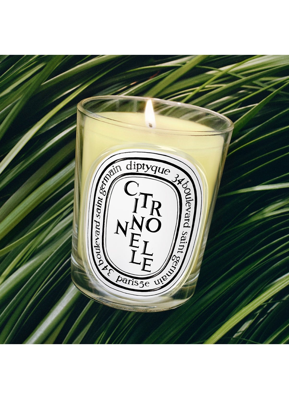 DIPTYQUE Citronnelle geurkaars 190 gram - detail undefined