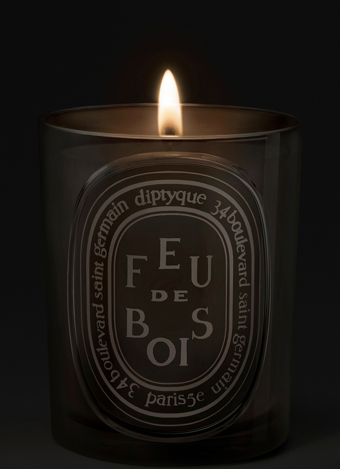 DIPTYQUE Feu de Bois geurkaars 300 gram - voorkant 3 beige