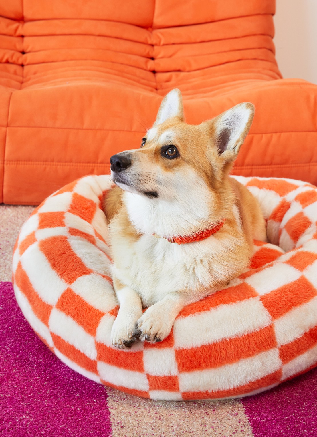 DOGGUO Block hondenmand met print 50 x 50 cm - voorkant 2 oranje