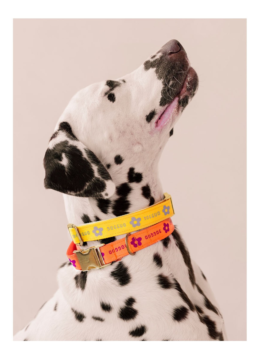 DOGGUO Flower collar M halsband voor honden 36 - 52 cm - detail 3 geel