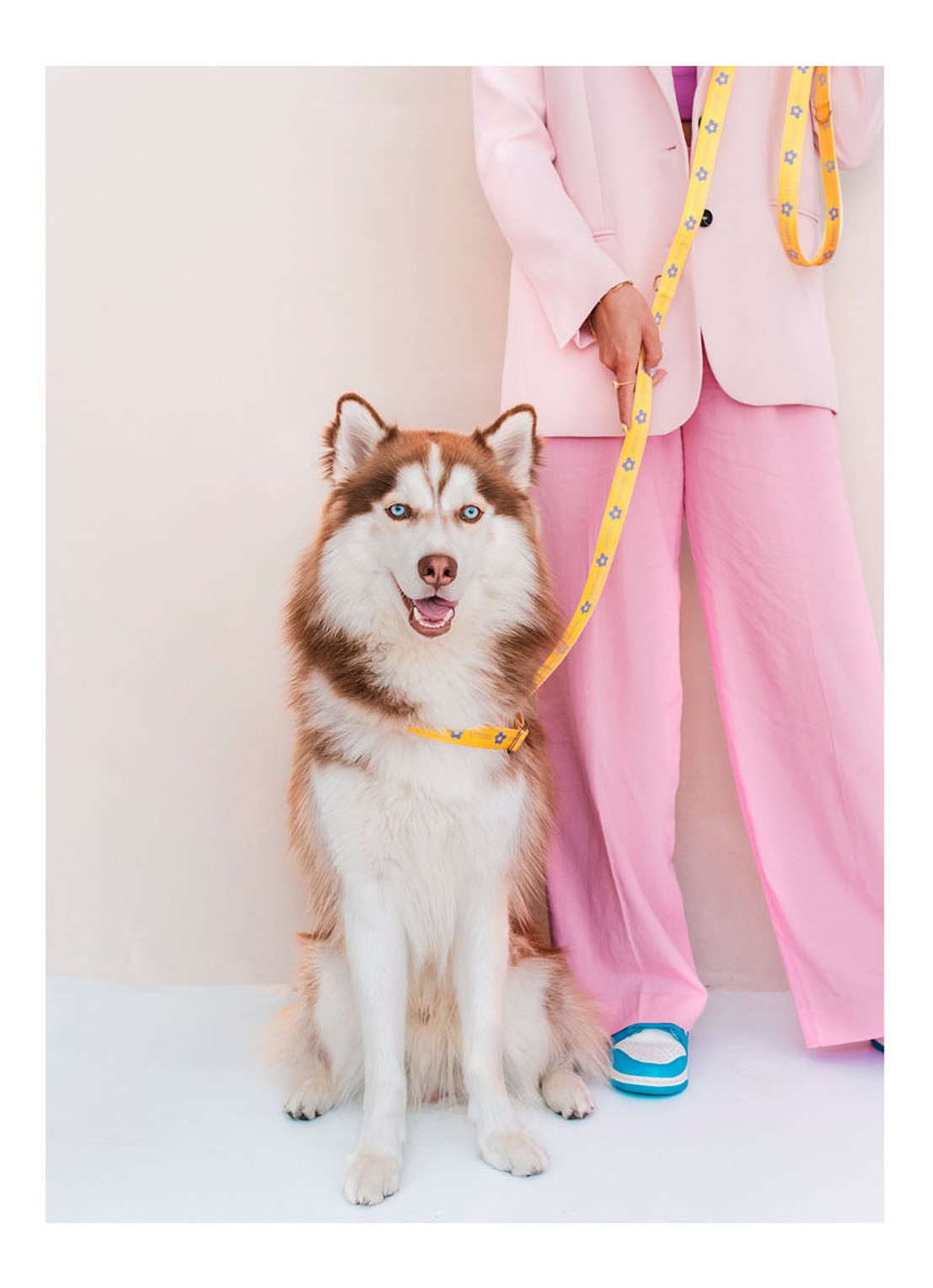 DOGGUO Flower collar M halsband voor honden 36 - 52 cm - detail 5 geel